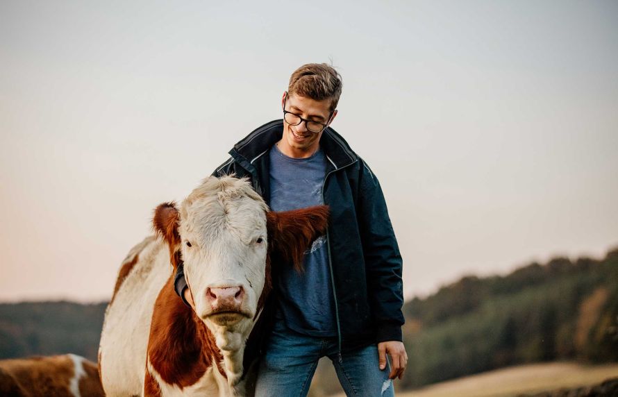 Une vache et un homme